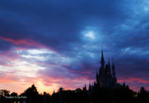 Cinderella Castle Night Sky
