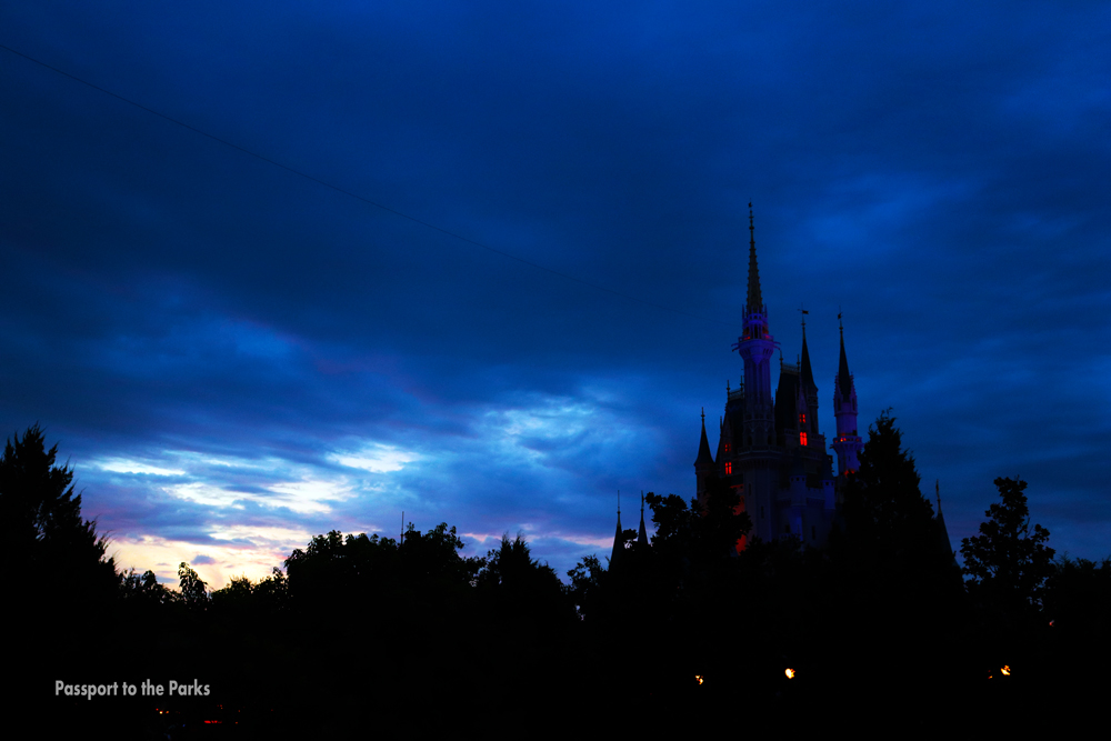 Cinderella Castle Night Sky