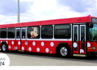 Minnie Mouse bus